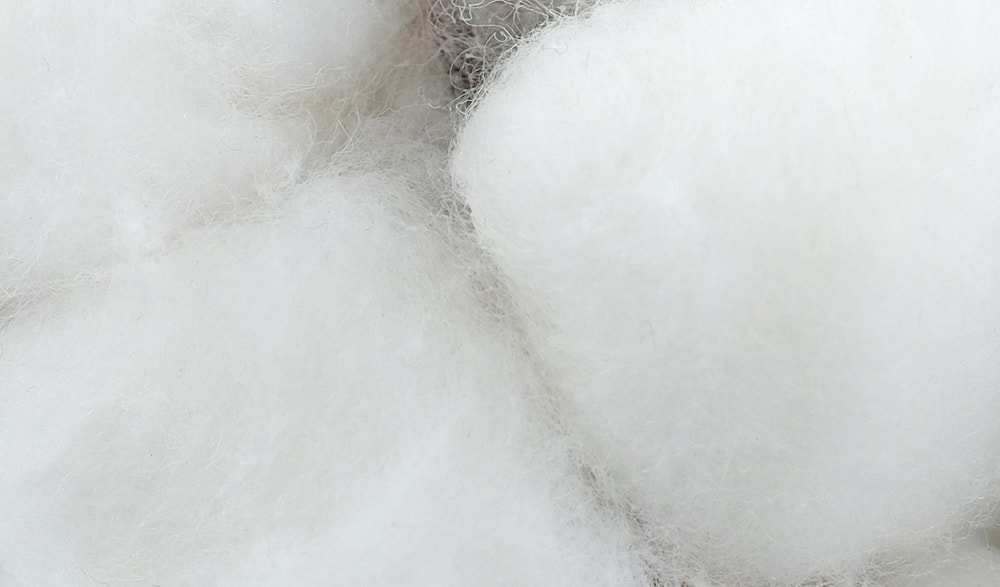 Organic cotton fleece